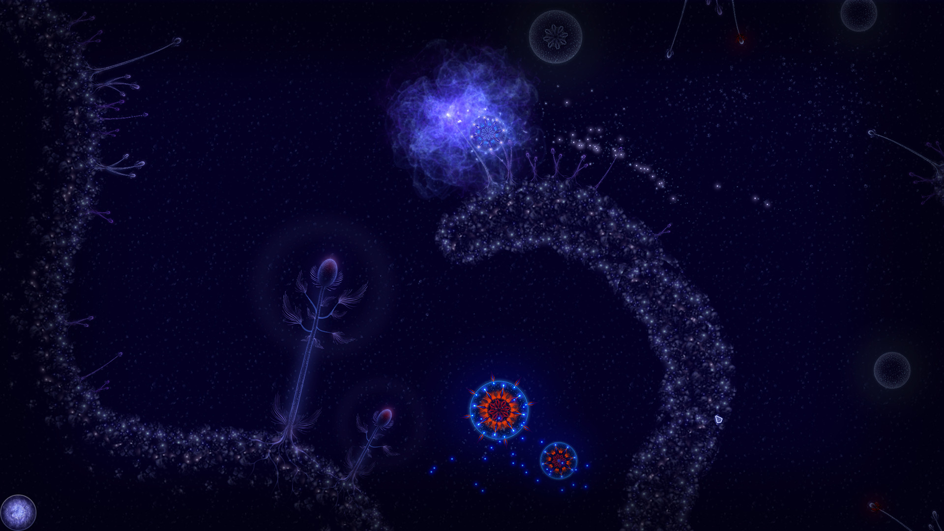 Microcosmum: Survival of Cells – Campaign “New life”