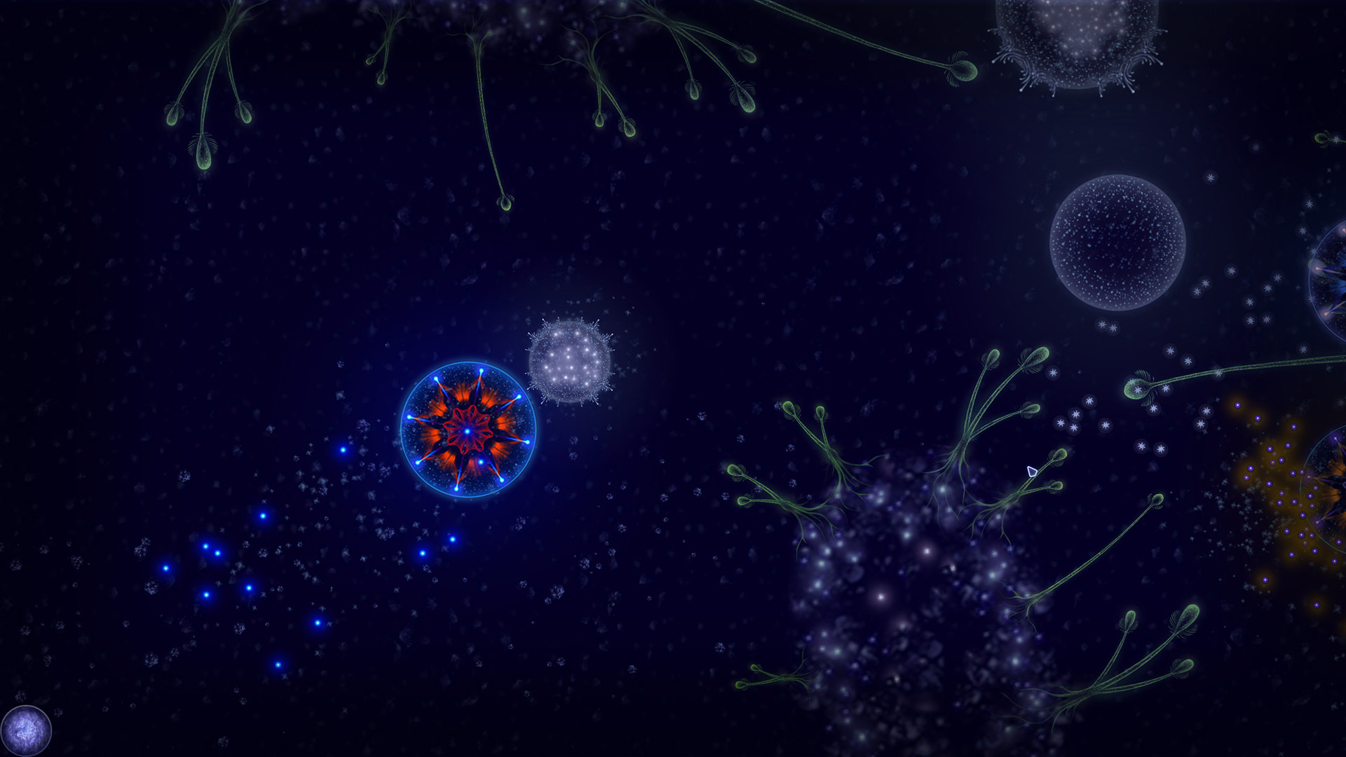 Microcosmum: Survival of Cells – Campaign “New life”