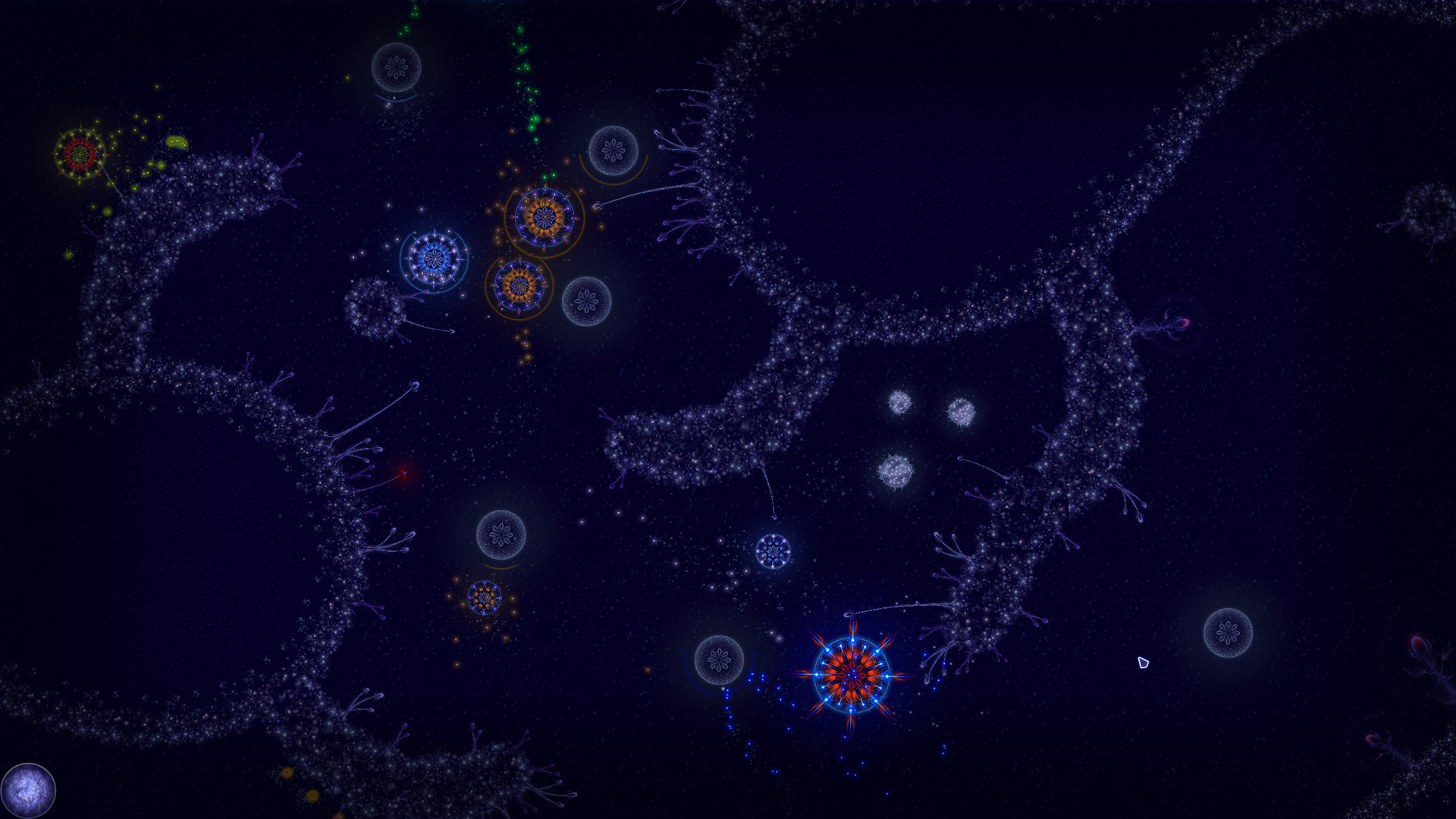 Microcosmum: Survival of Cells – Campaign “New life”