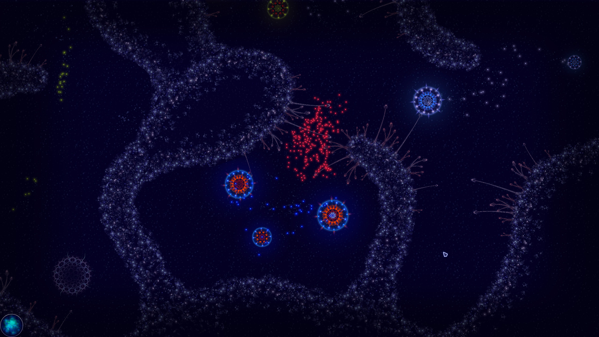 Microcosmum: Survival of Cells – Campaign “New life”
