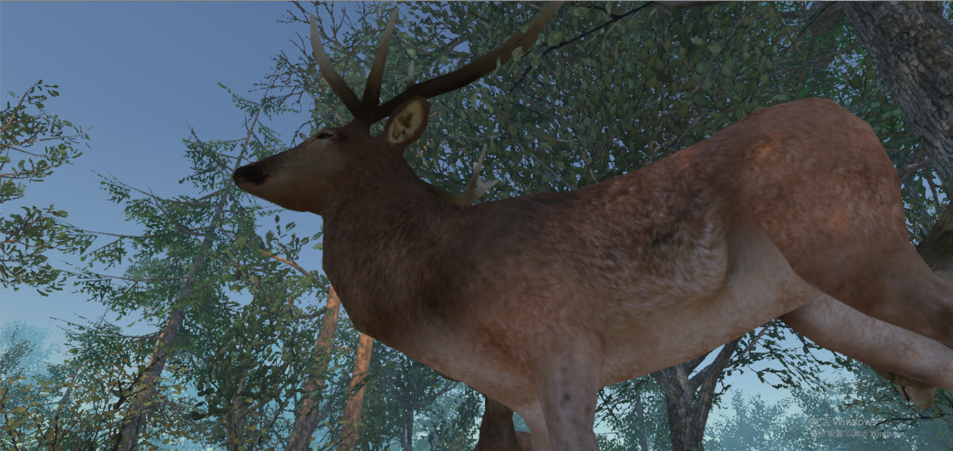 VR Wonderland: mini civilizations in a forest