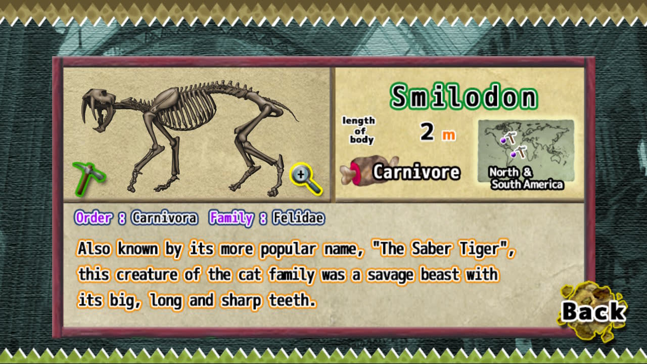 Prehistoric Life Puzzles