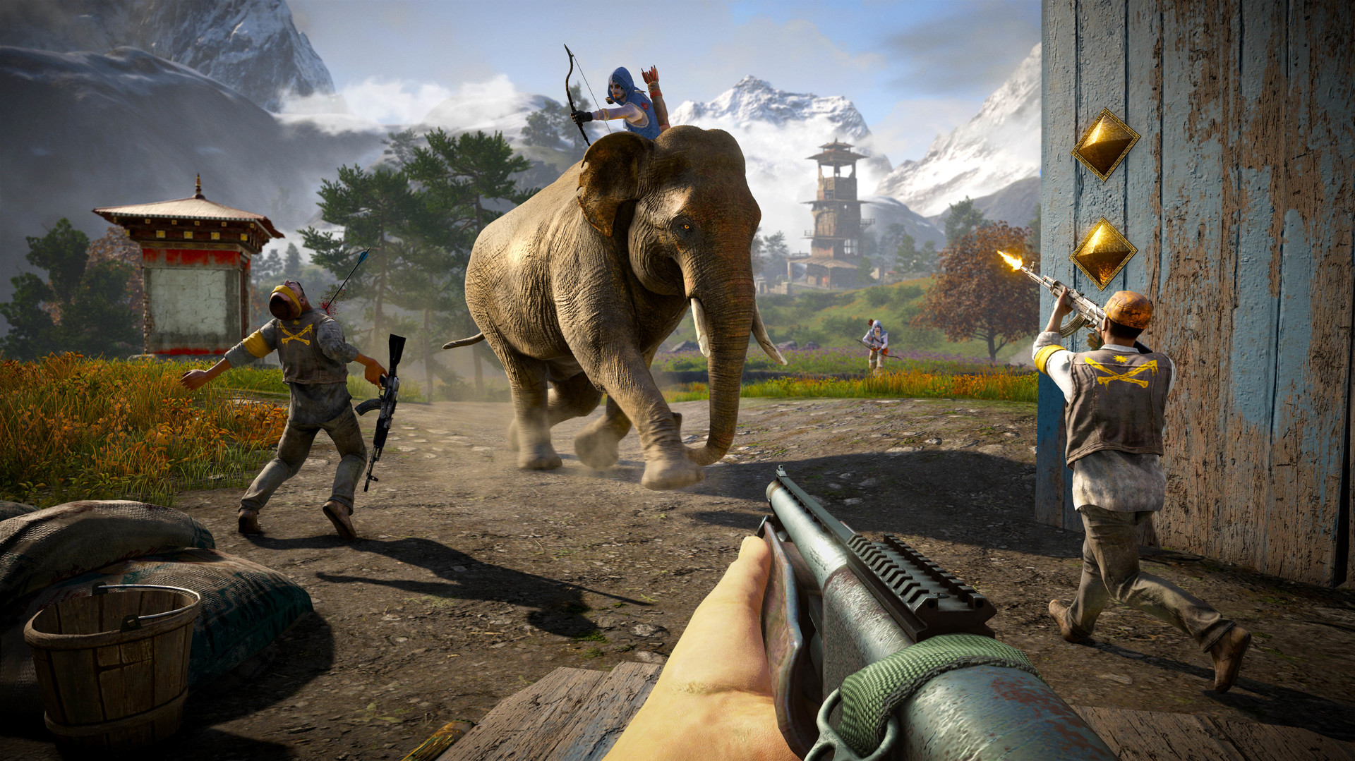 Far Cry 4: Overrun