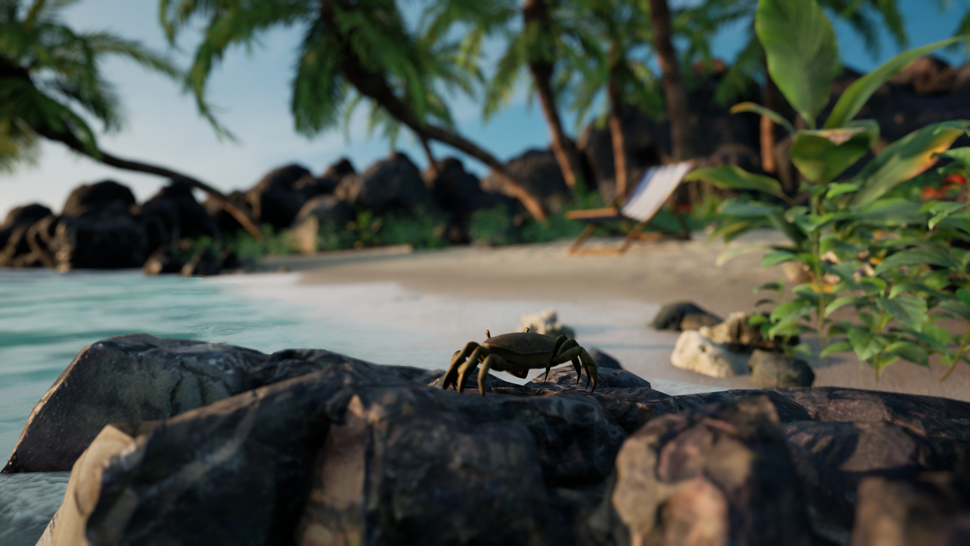 Meditation VR
