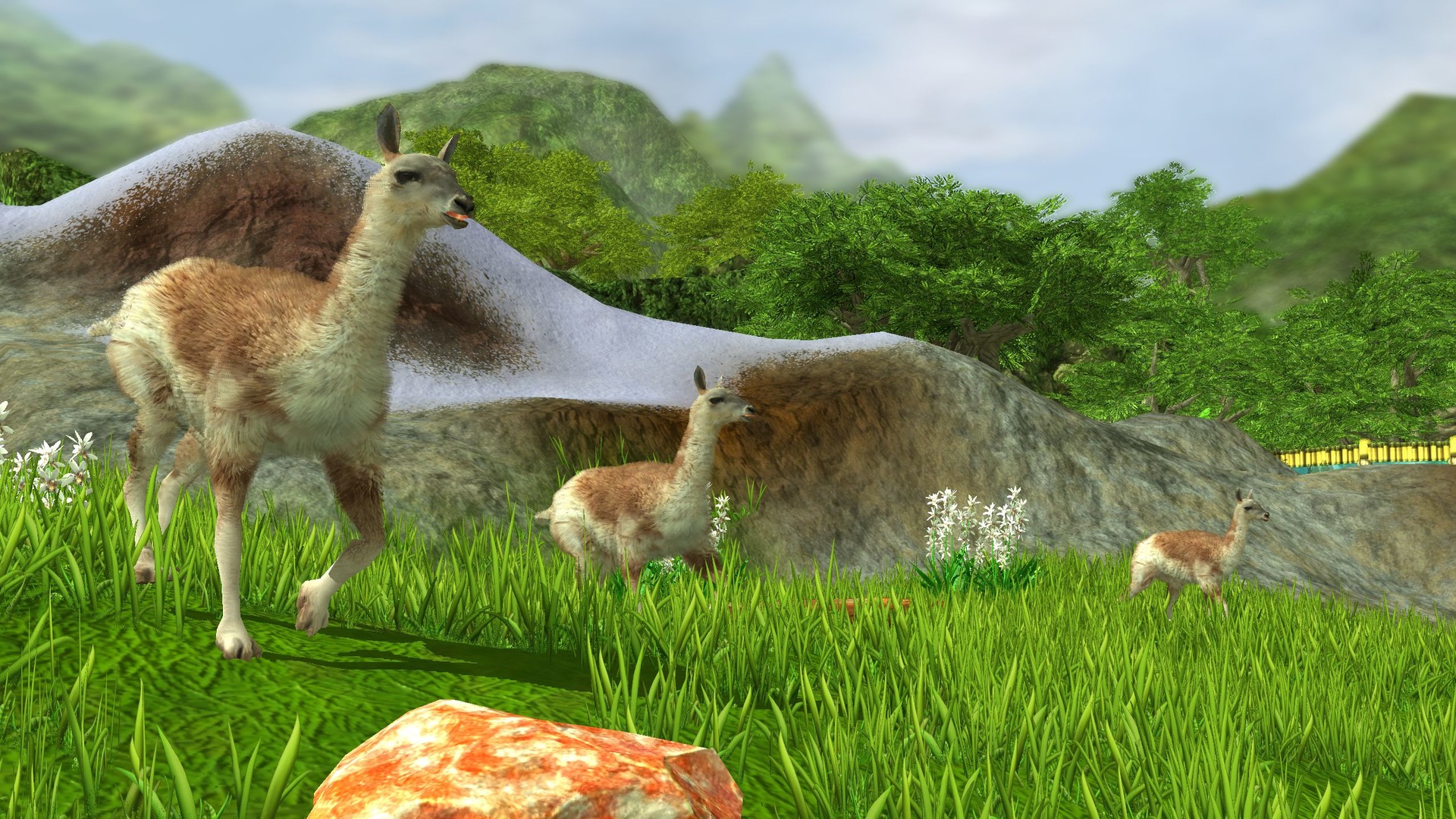 Wildlife Park 3: Amazonas