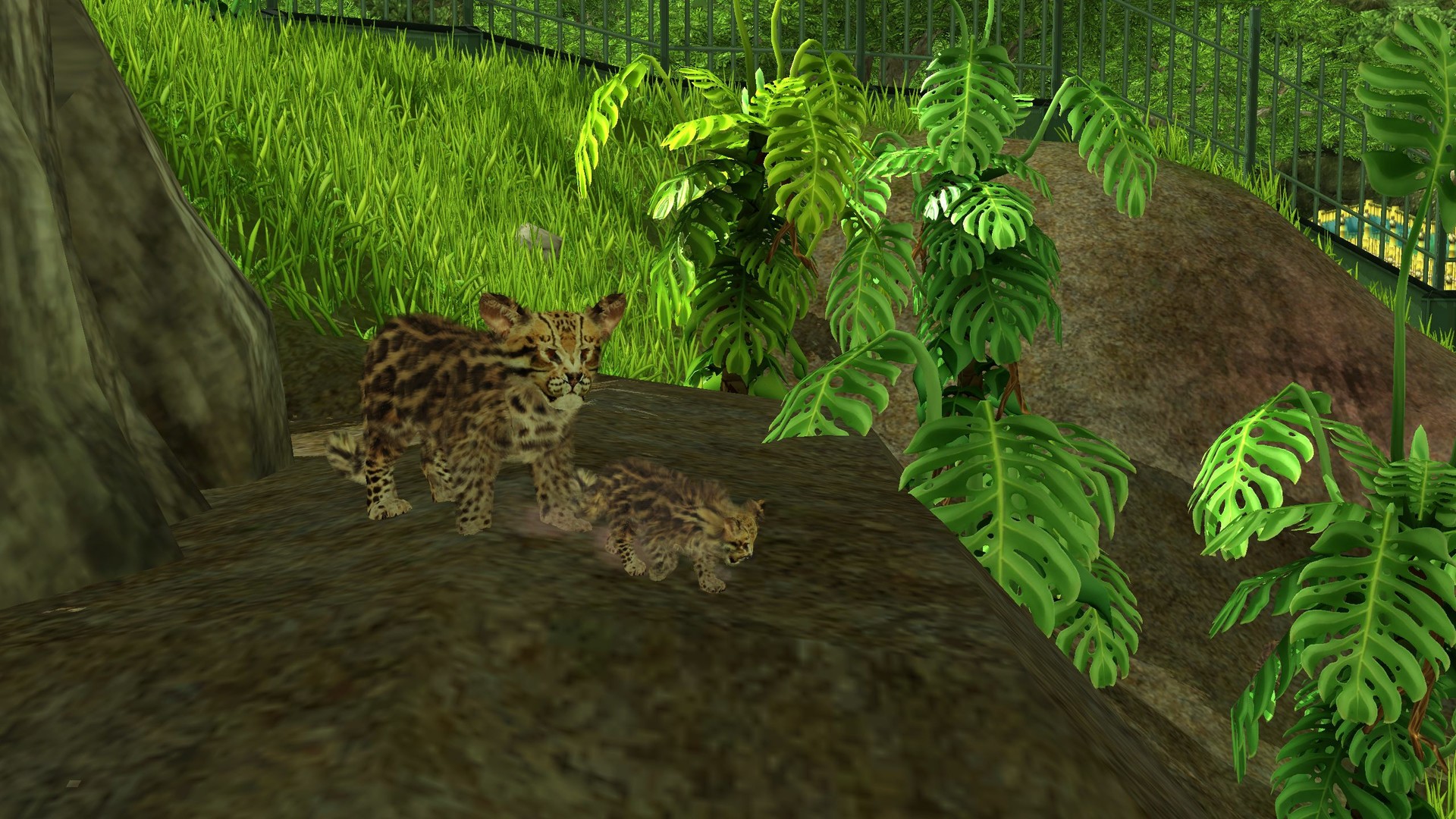 Wildlife Park 3: Amazonas