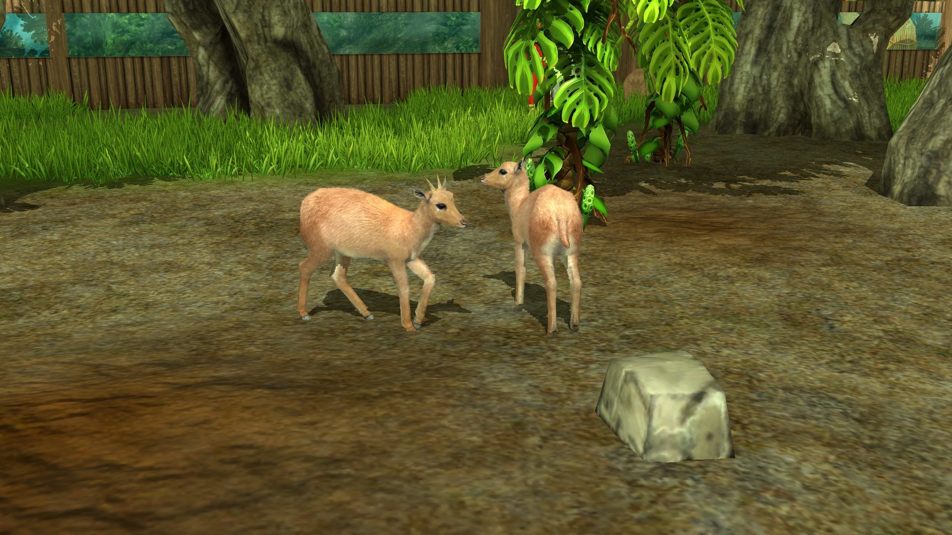 Wildlife Park 3: Amazonas