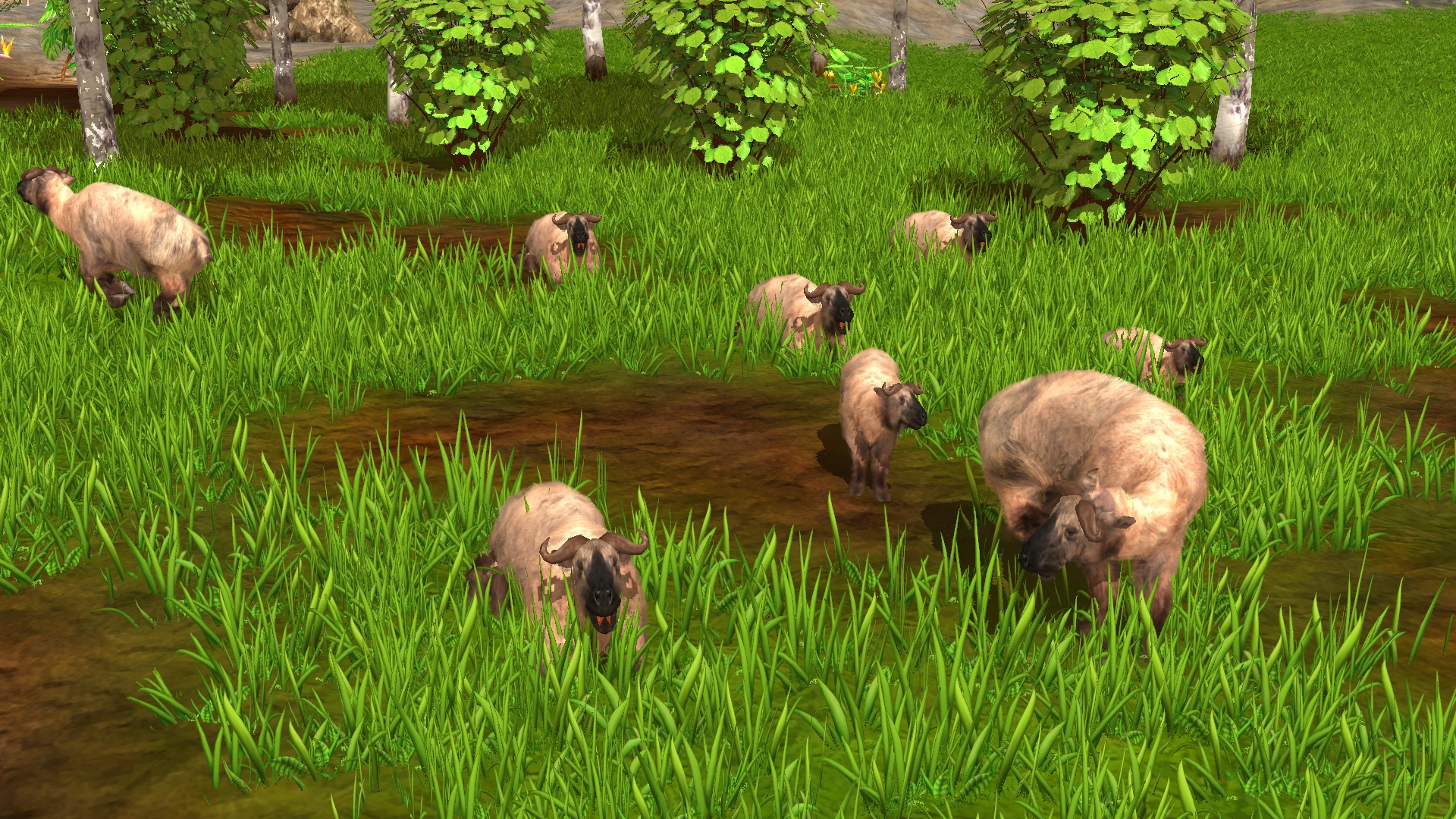 Wildlife Park 3: Asia