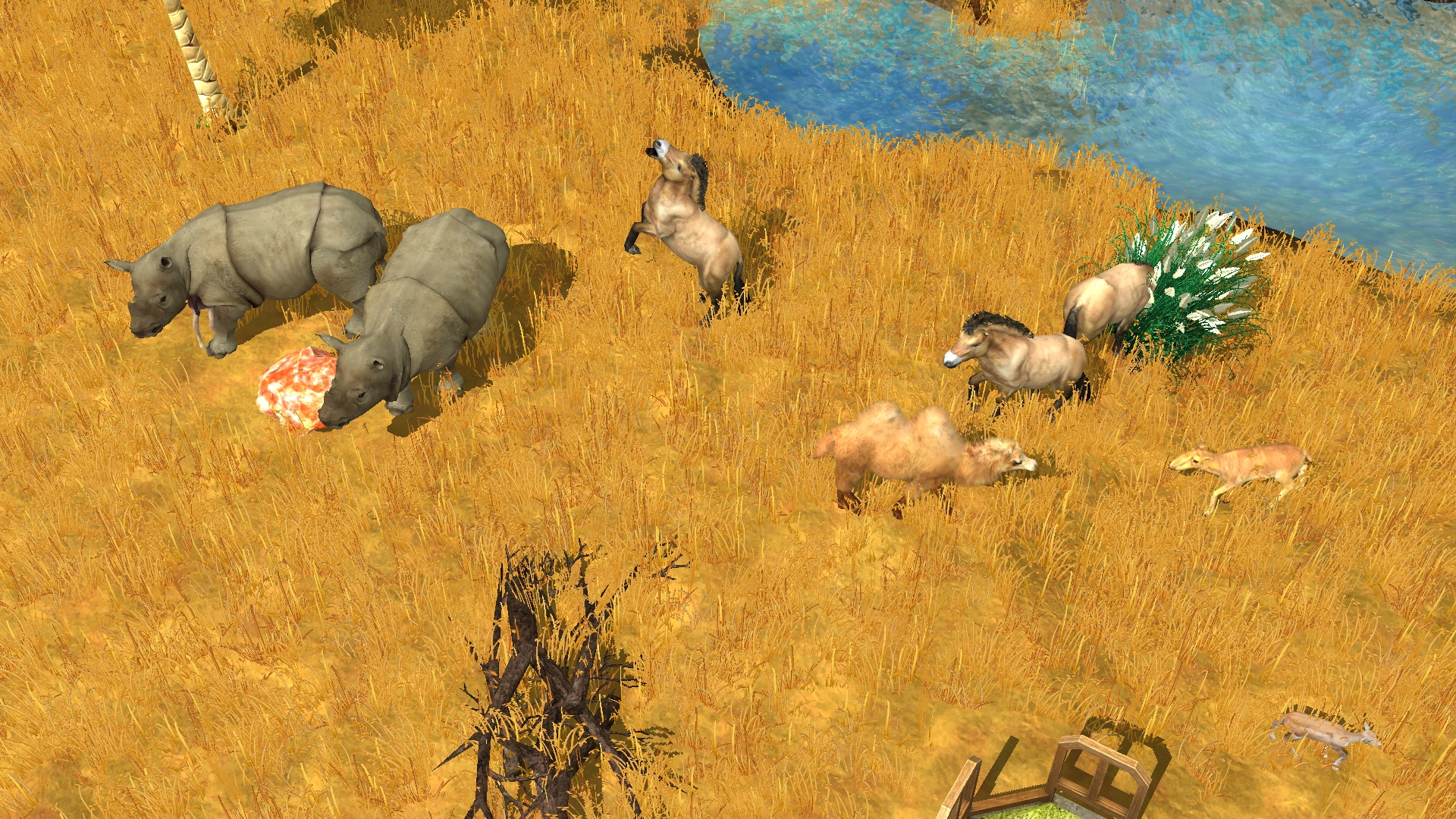 Wildlife Park 3: Asia