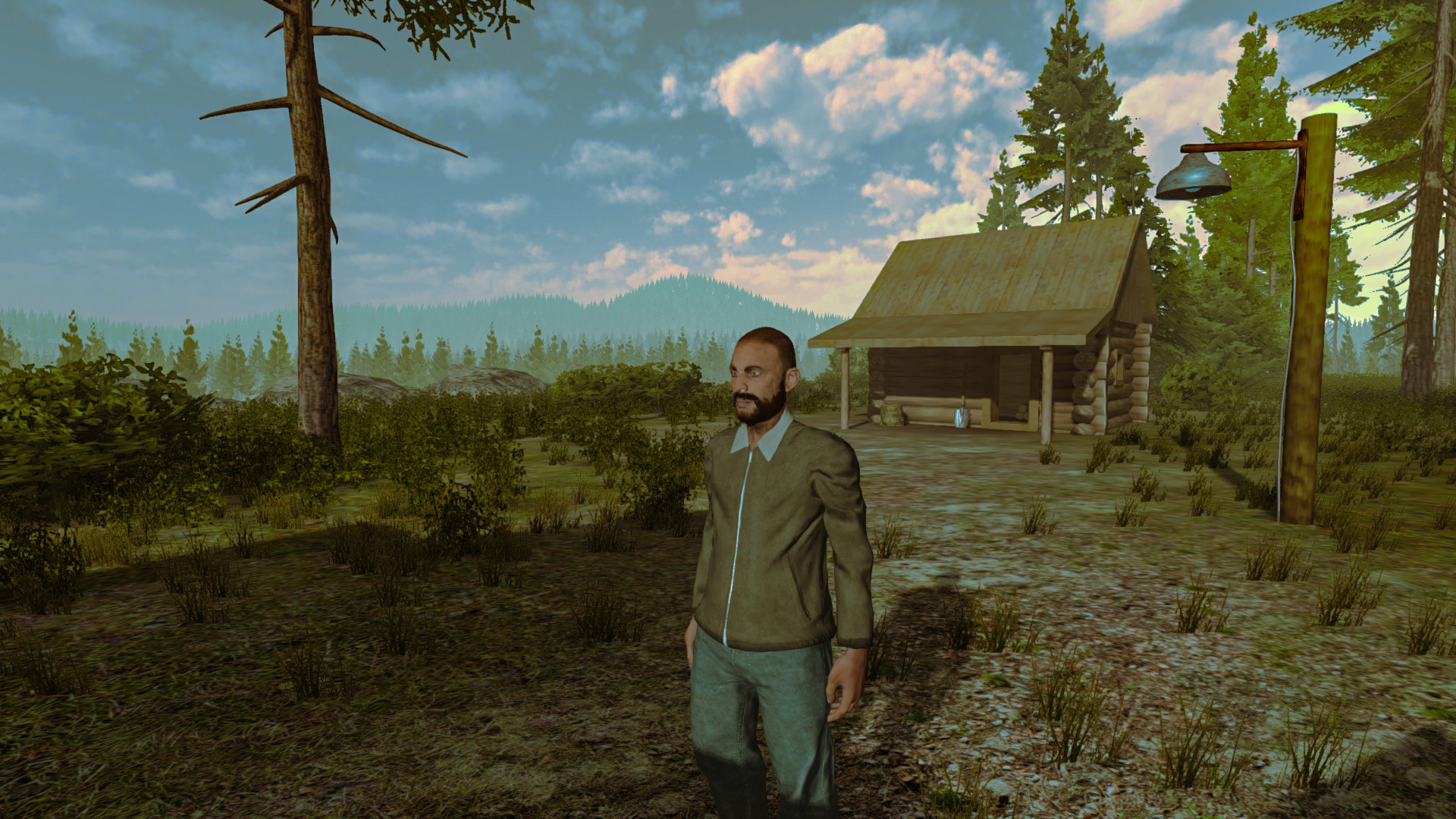 The Evil in the Forest