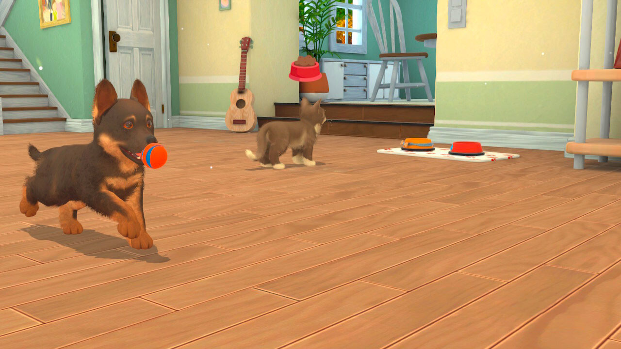 My Universe: Puppies and Kittens