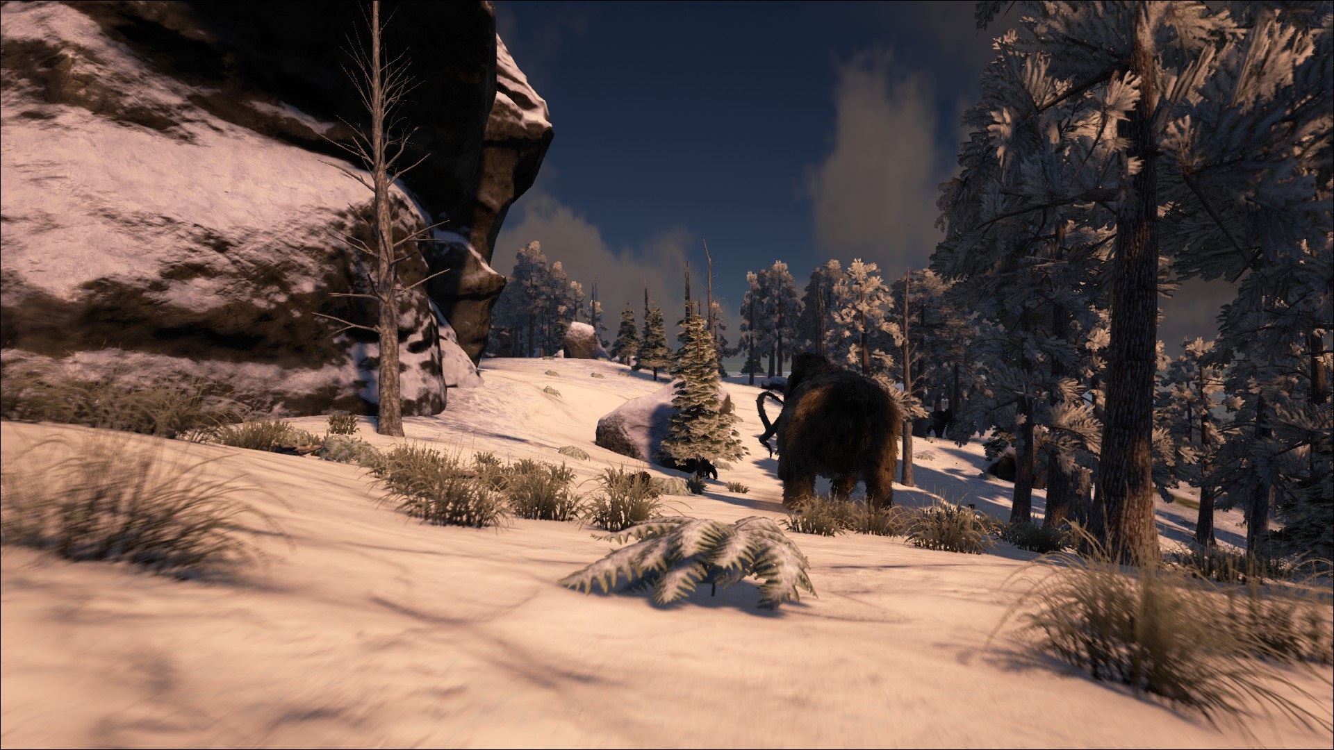 Ark: The Center