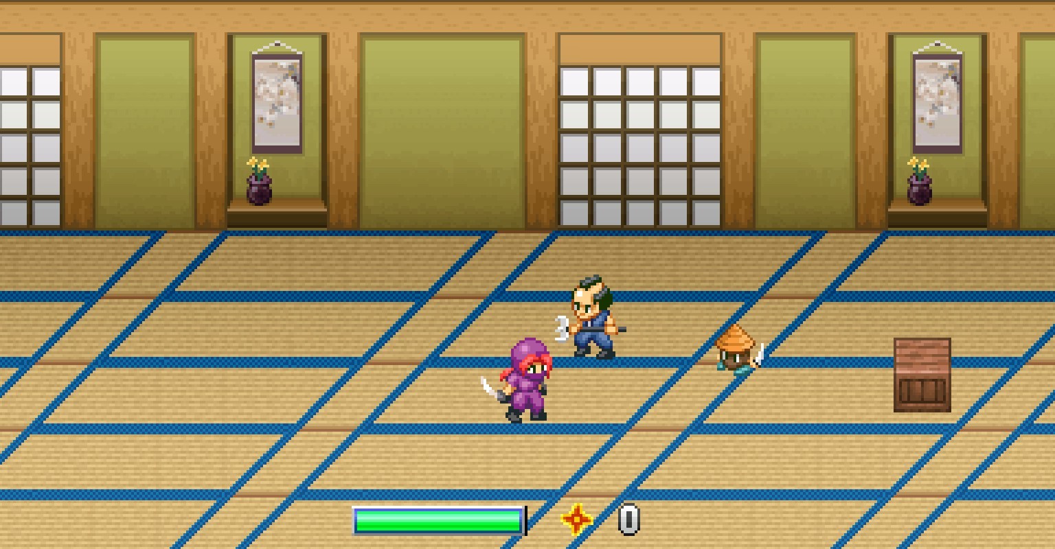 Ninja Kunoichi