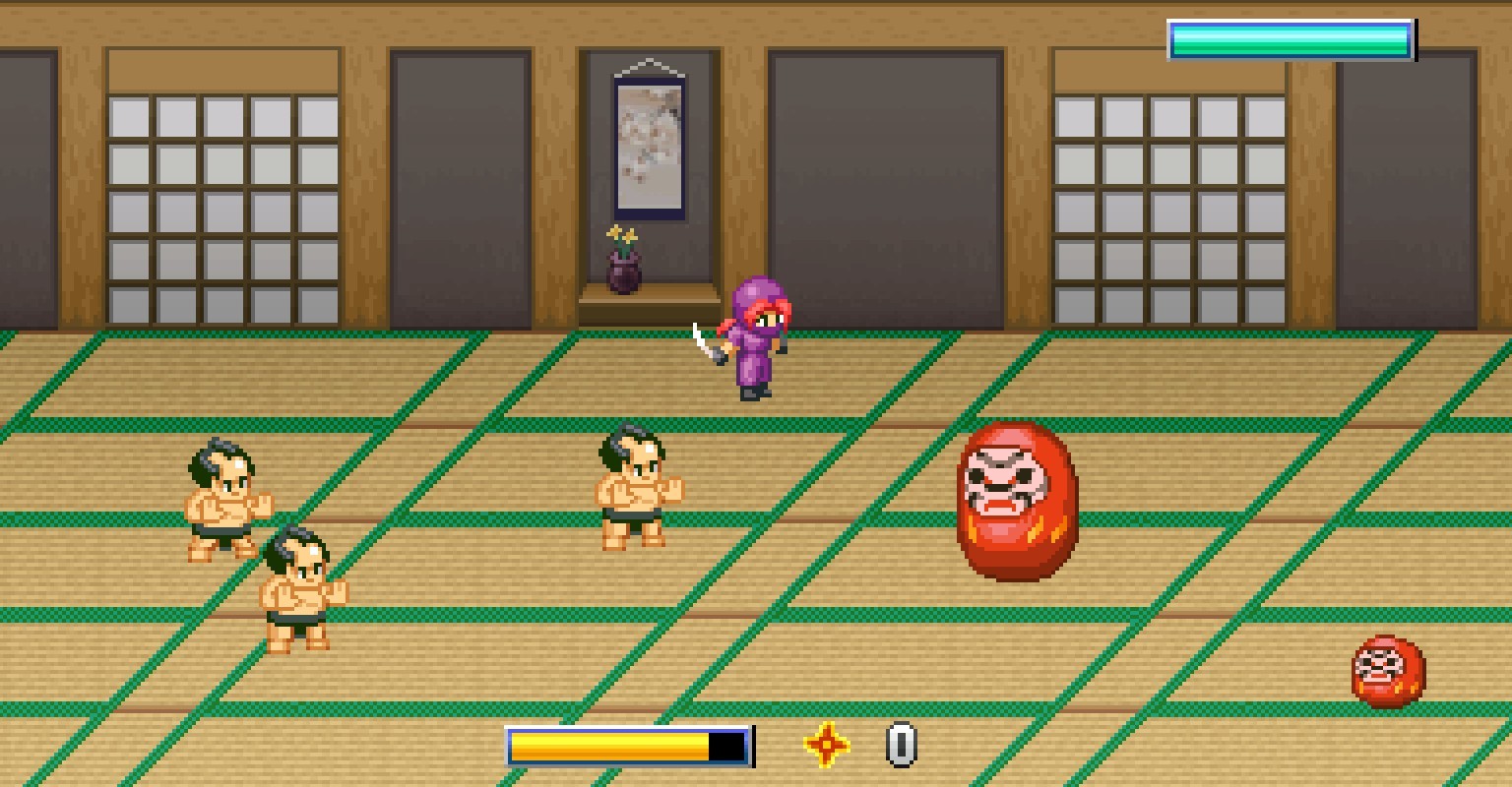 Ninja Kunoichi