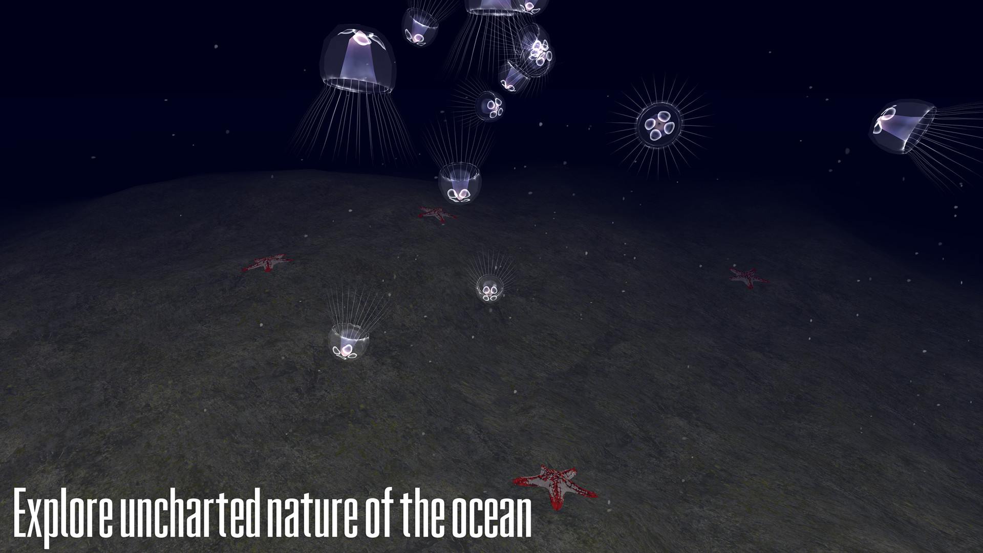 Submarine VR