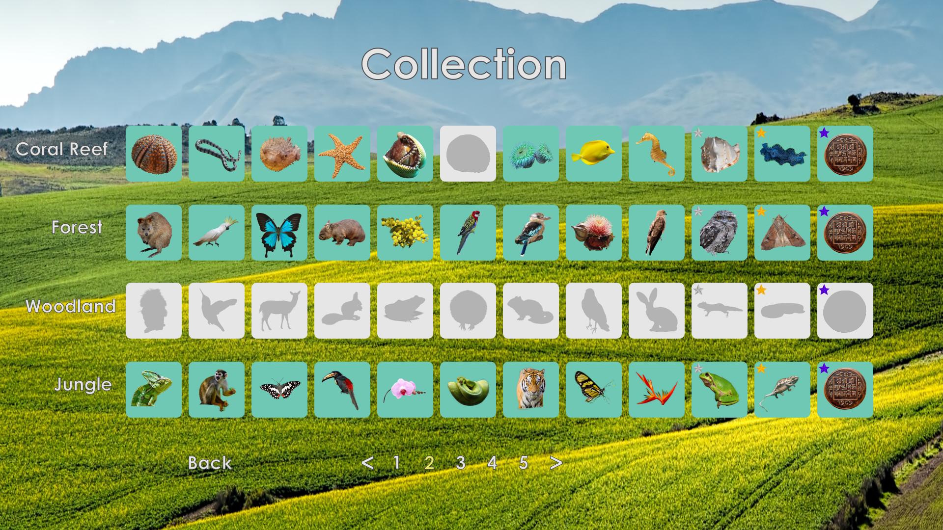 Look and Find: Curiosity