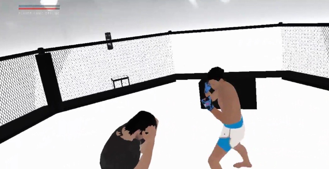 VR Boxing Master