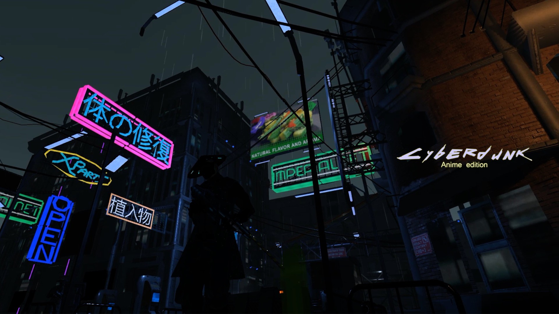Cyberdunk: Anime Edition