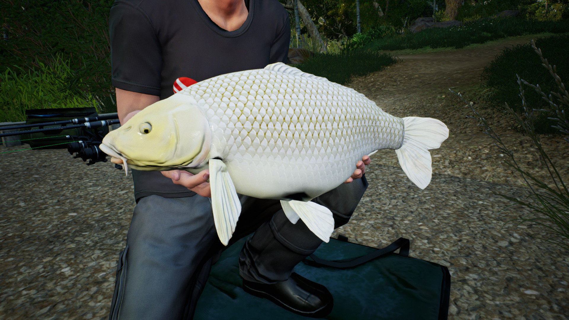 Euro Fishing: Hunters Lake