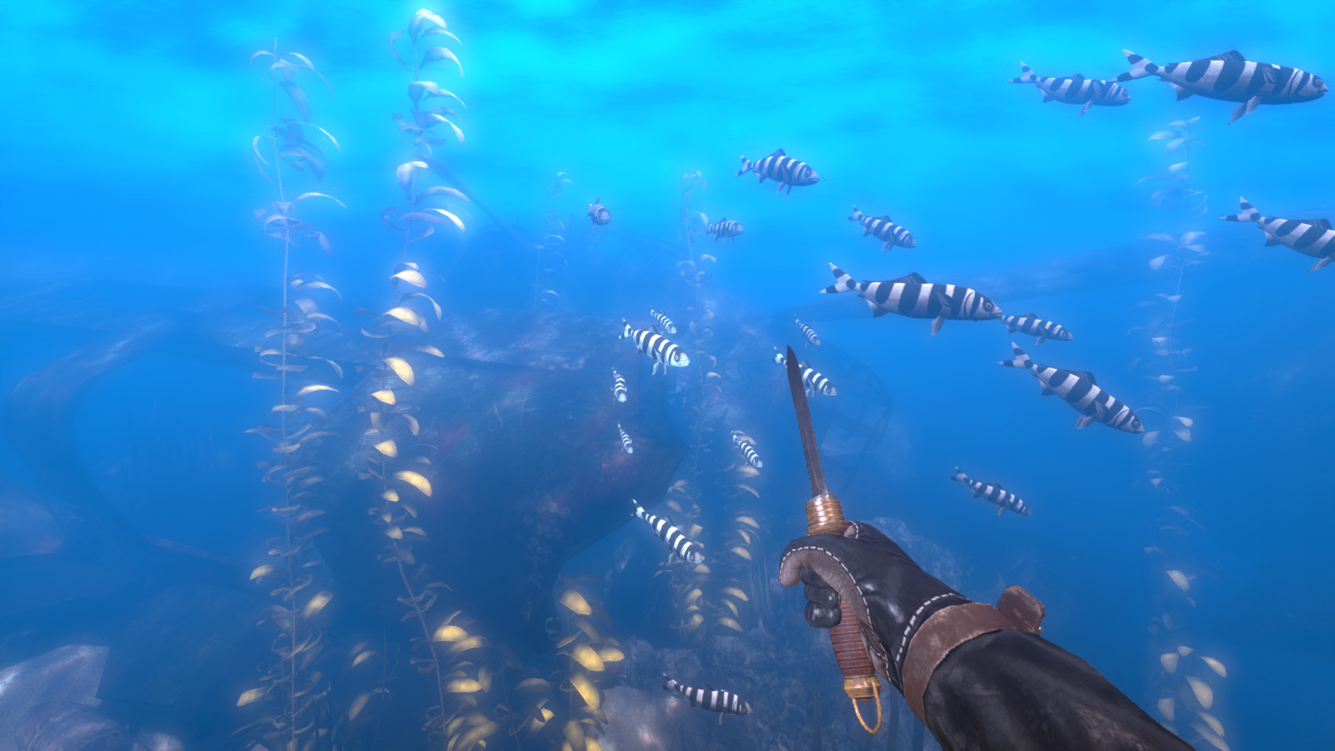 Depth: Wilhelm Diver