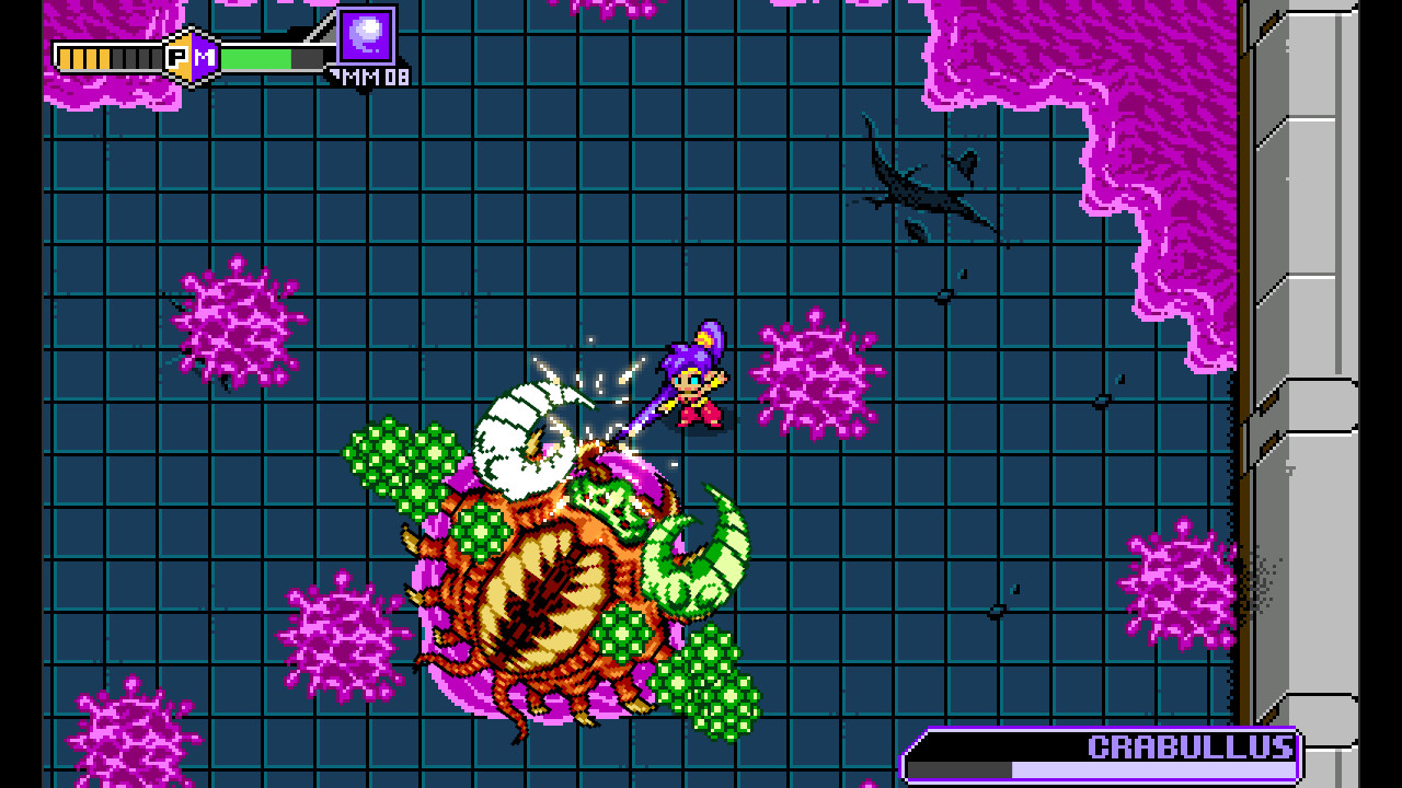 Blaster Master Zero: EX Character – Shantae