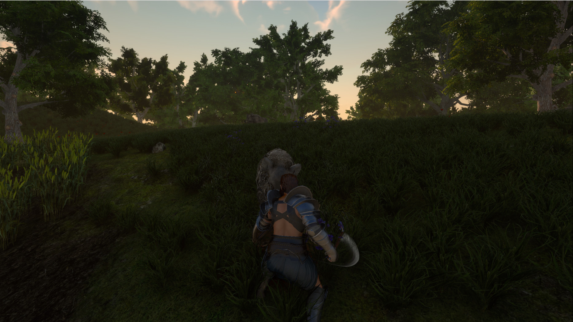 Age of Reforging: The Freelands