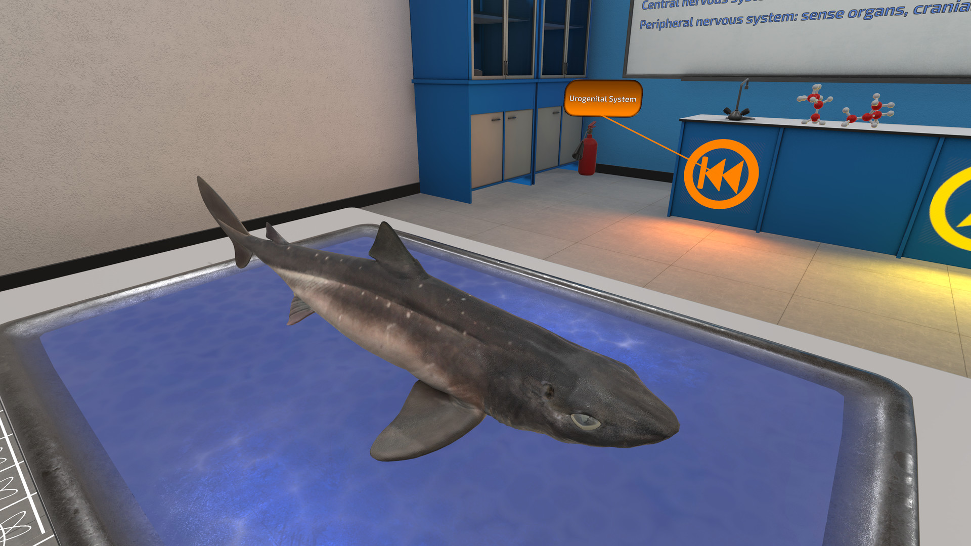 Dissection Simulator: Dogfish Edition