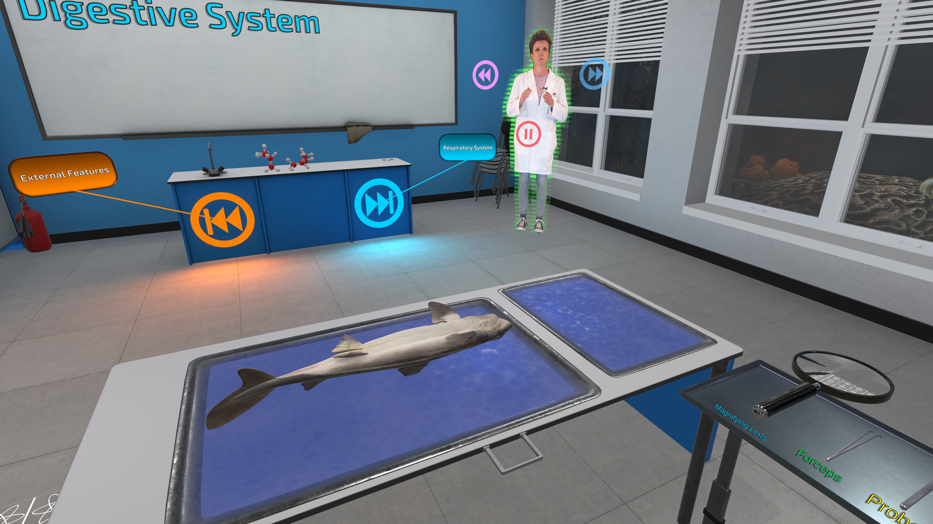 Dissection Simulator: Dogfish Edition