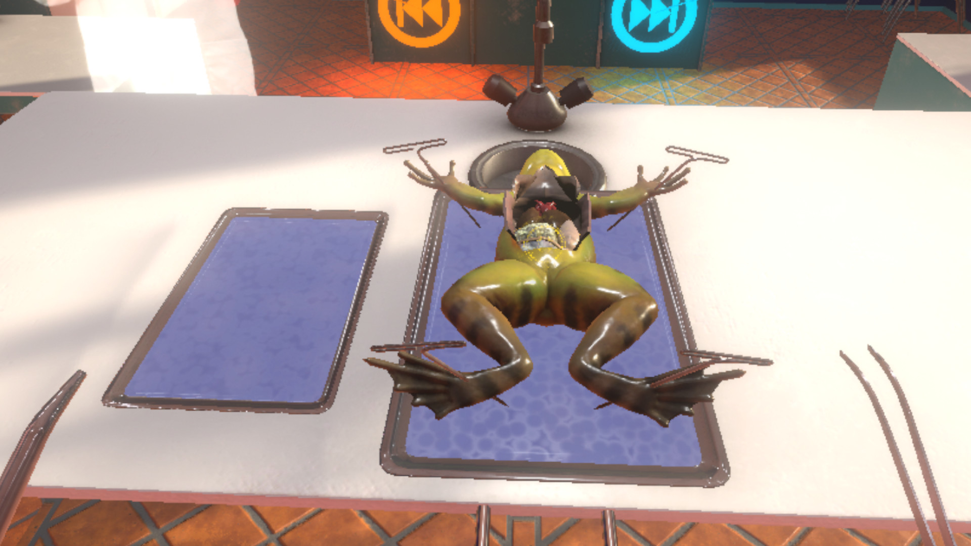 Dissection Simulator: Frog Edition