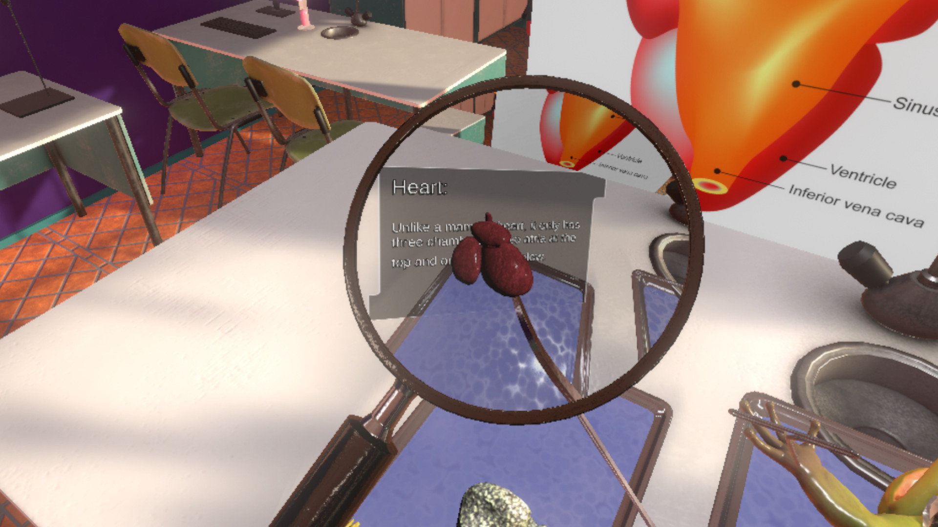 Dissection Simulator: Frog Edition