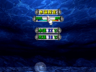 Jellyfish: The Healing Friend