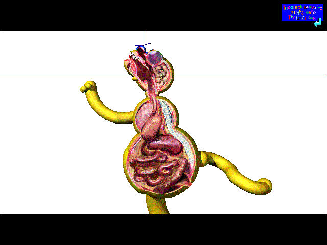 Roly-Polys no Nanakorobi Yaoki