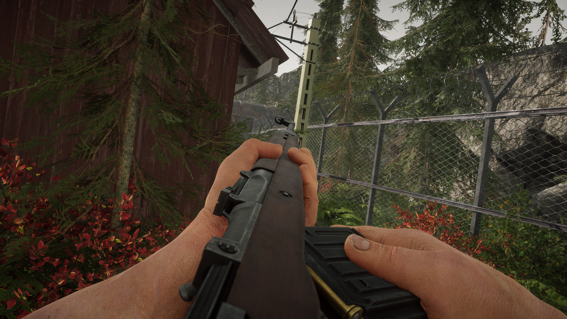 Projekt Z: Beyond Order