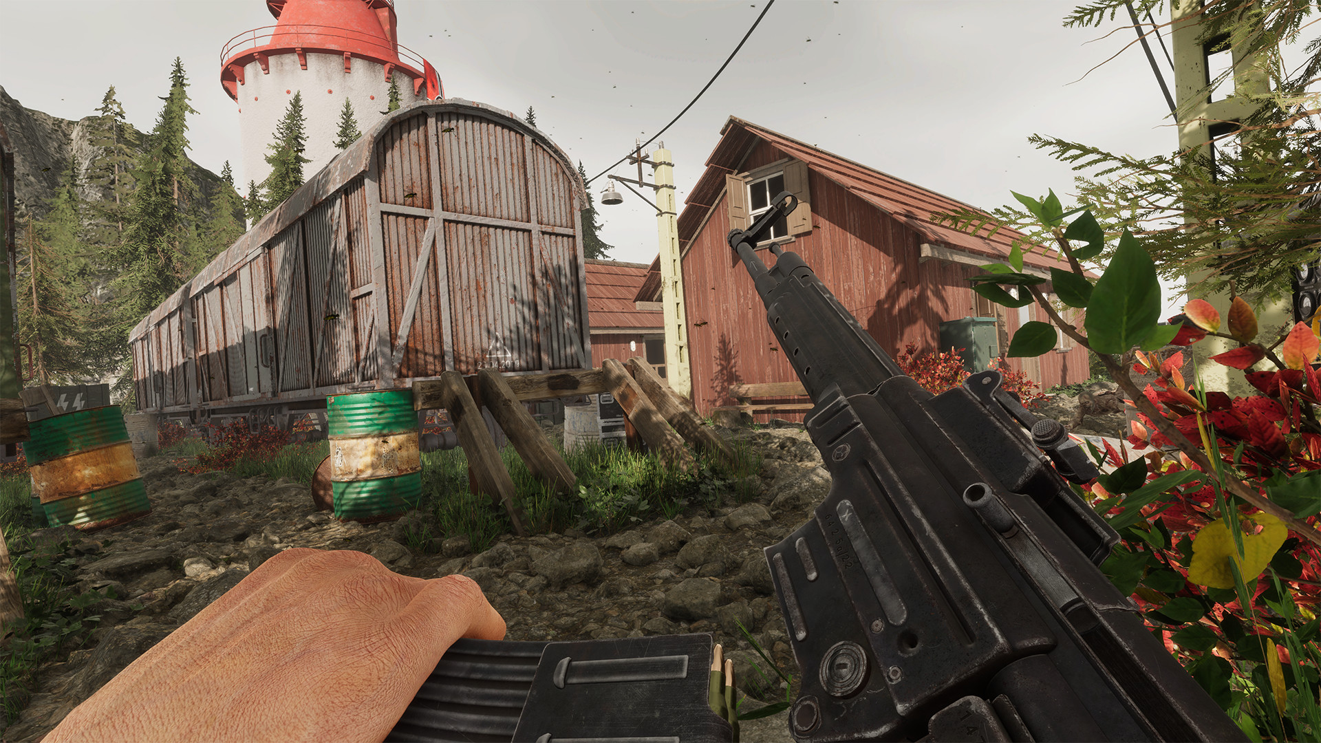 Projekt Z: Beyond Order