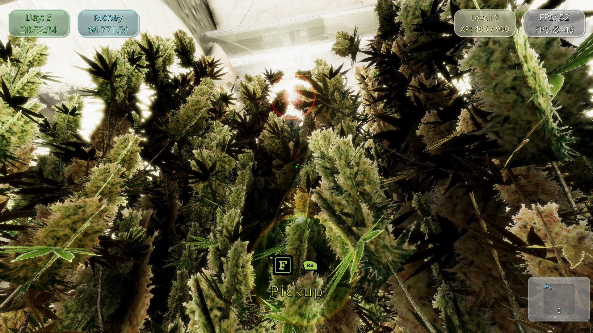 Medicinal Herbs: Cannabis Grow Simulator