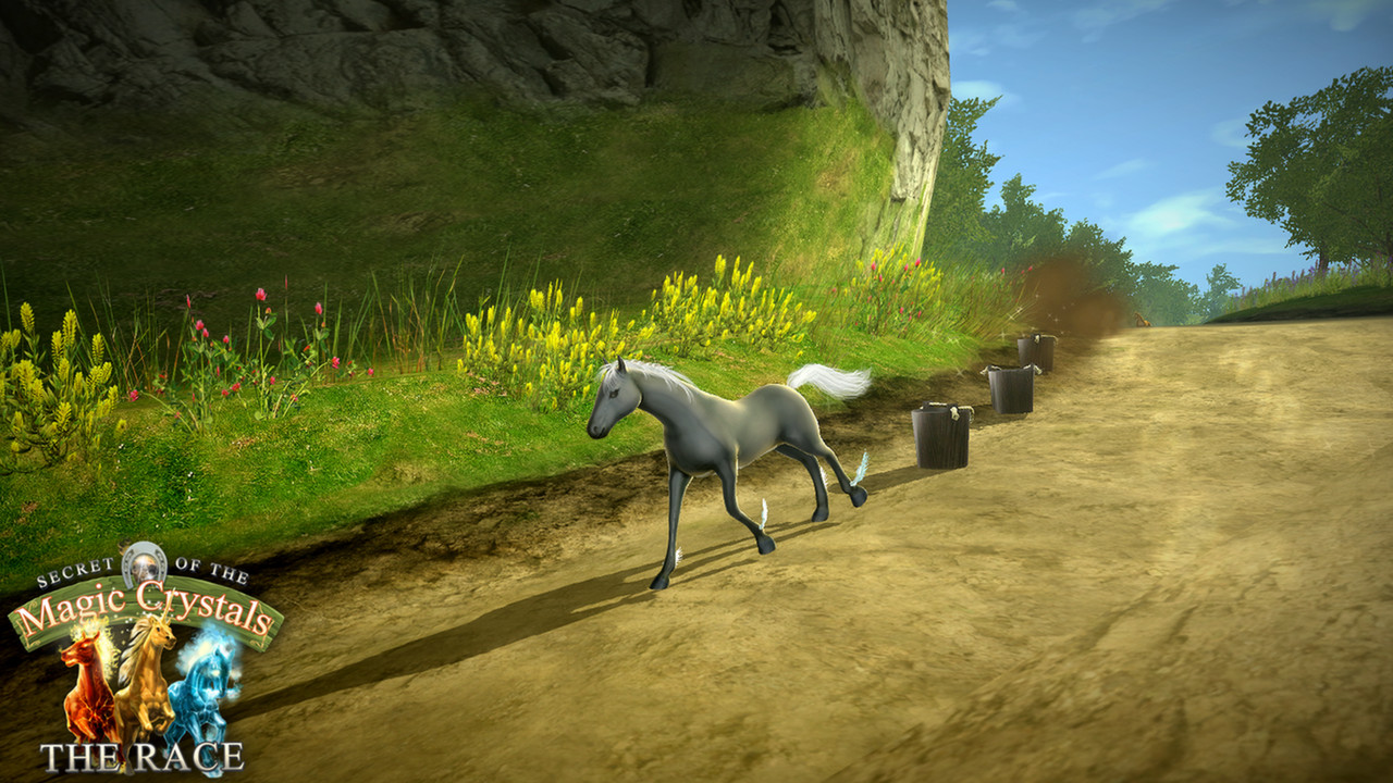 Secret of the Magic Crystals: The Race