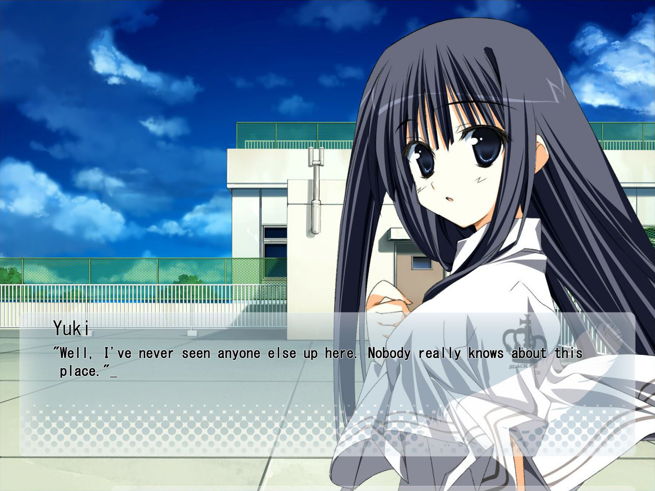 Wonderful Everyday: Down the Rabbit-Hole