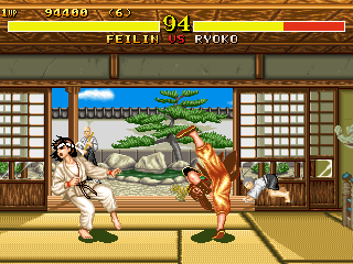 Fighter’s History