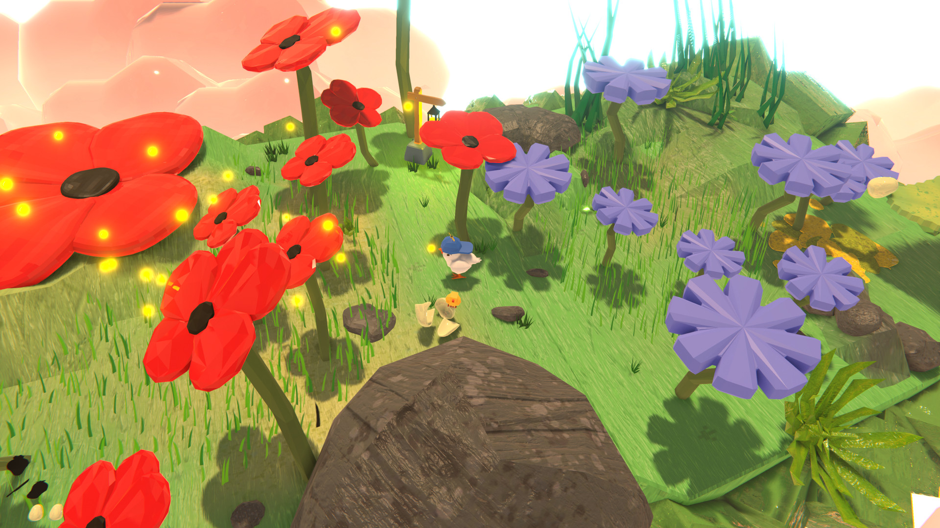 Amazing Chicken Adventures