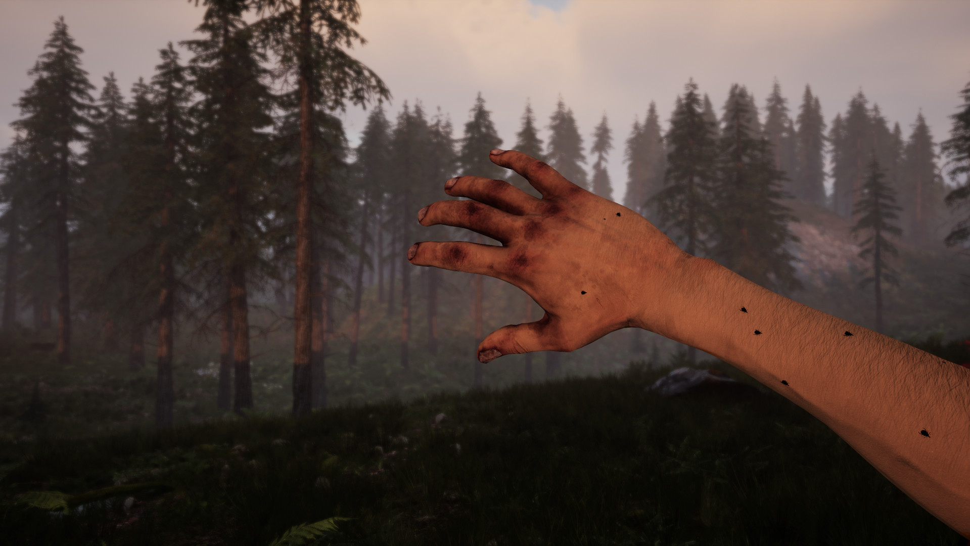 Tunguska: A Call in the Woods