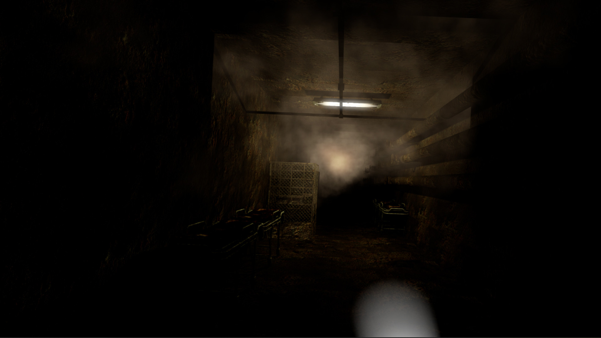 Mental Hospital: Child of Evil