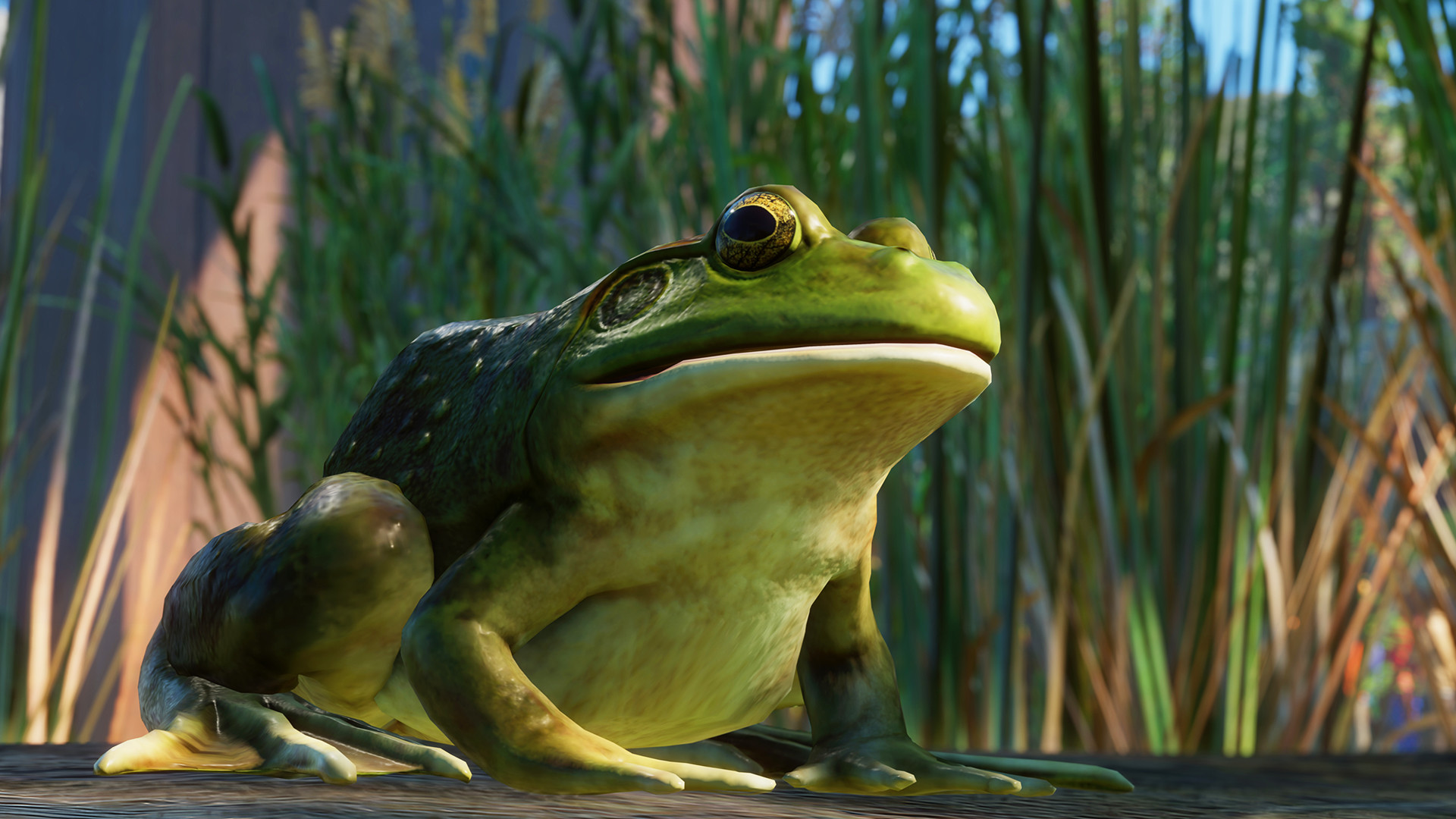 Planet Zoo: North America Animal Pack
