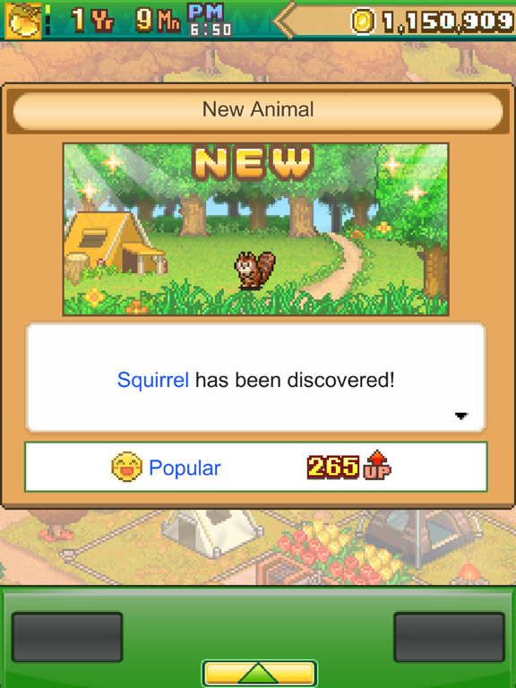 Forest Camp Story