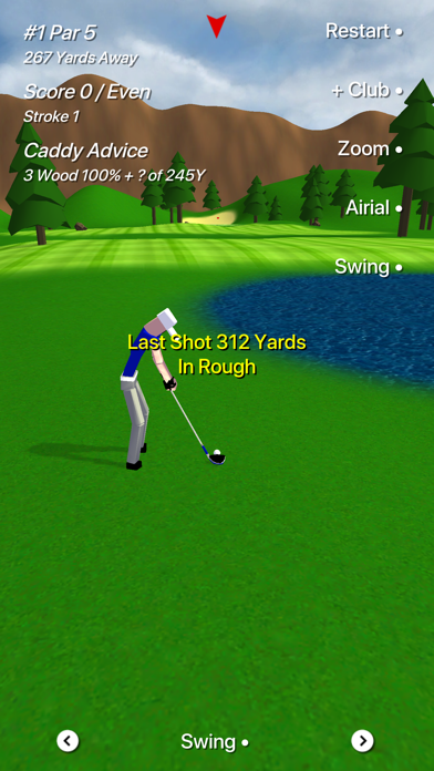 Speedy Golf