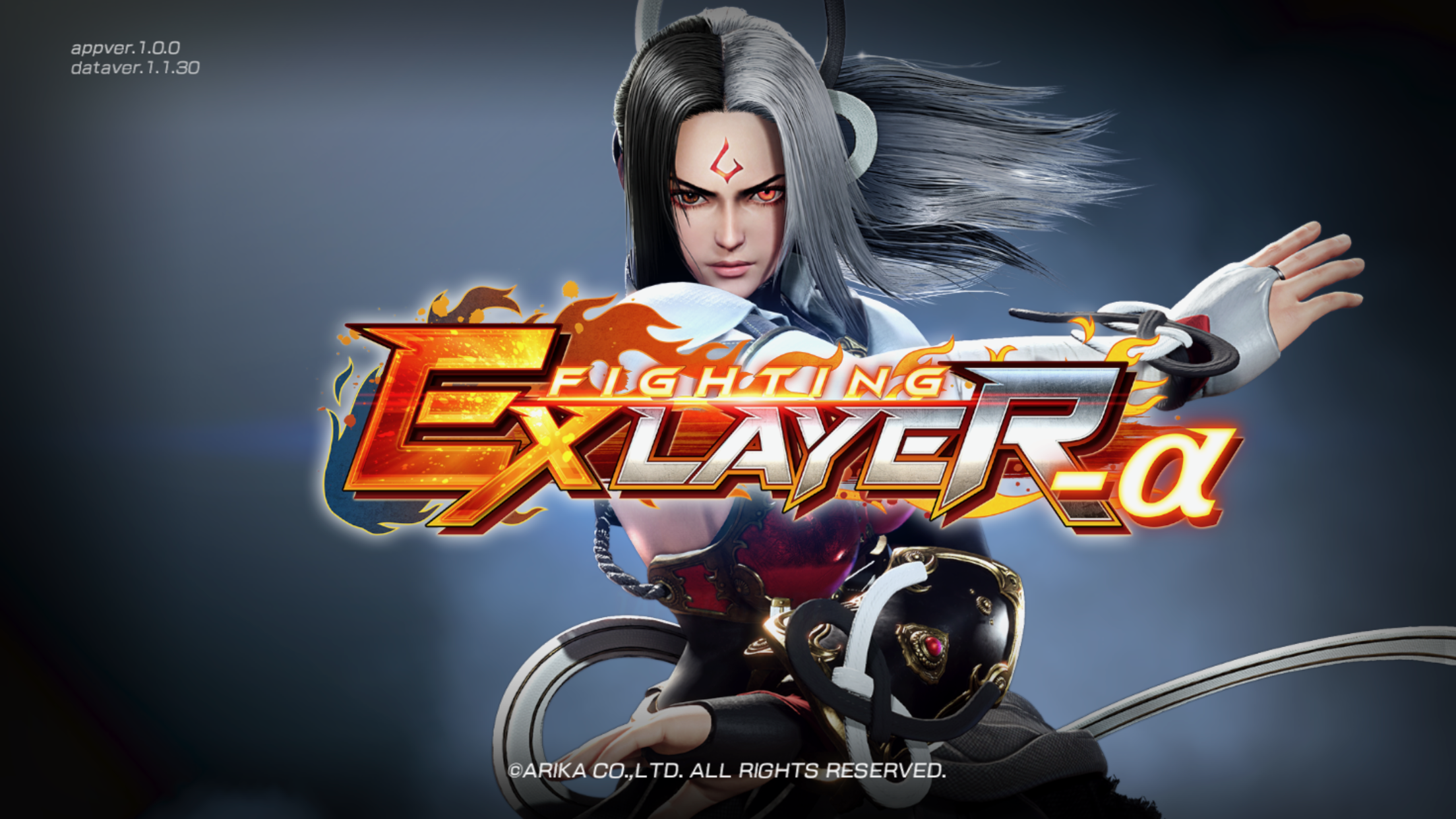 Fighting Ex Layer -a