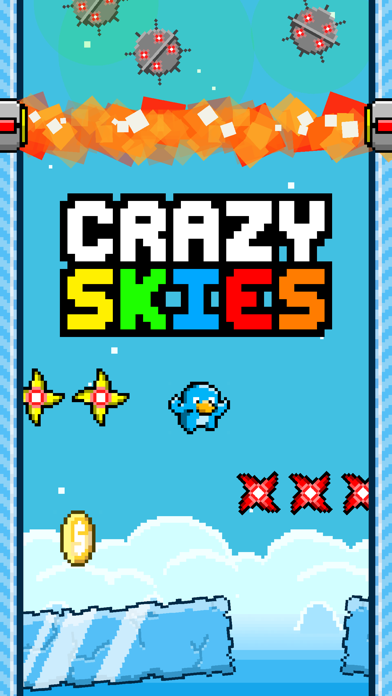 Crazy Skies: Endless Arcade Flyer