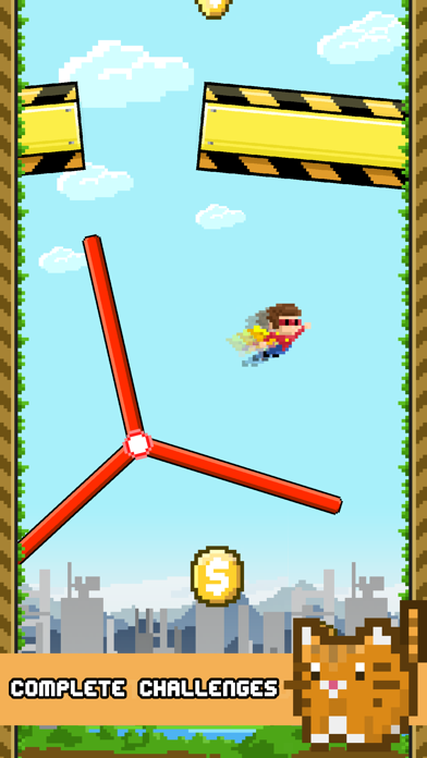 Crazy Skies: Endless Arcade Flyer