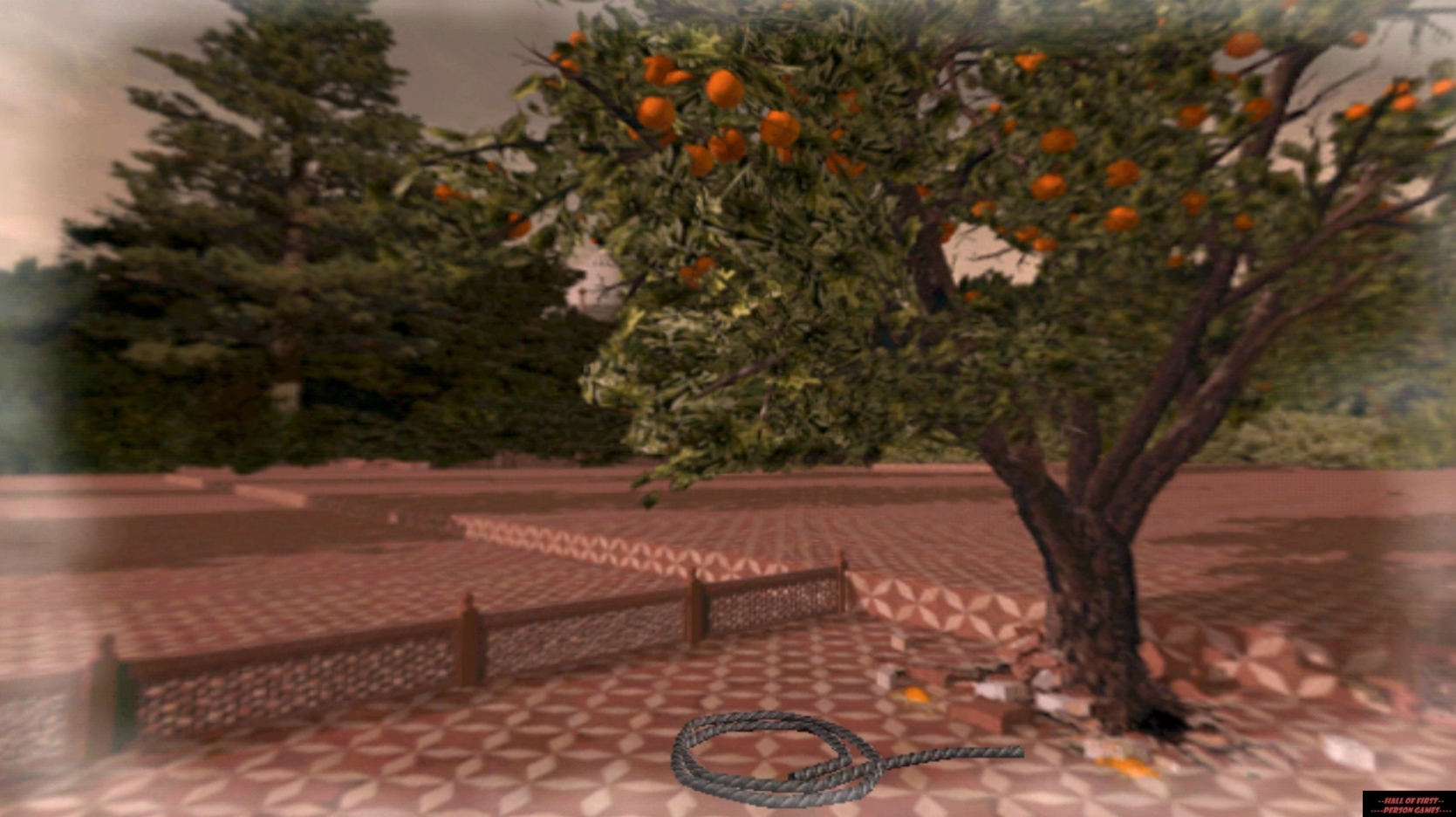 Road to India: Between Hell and Nirvana