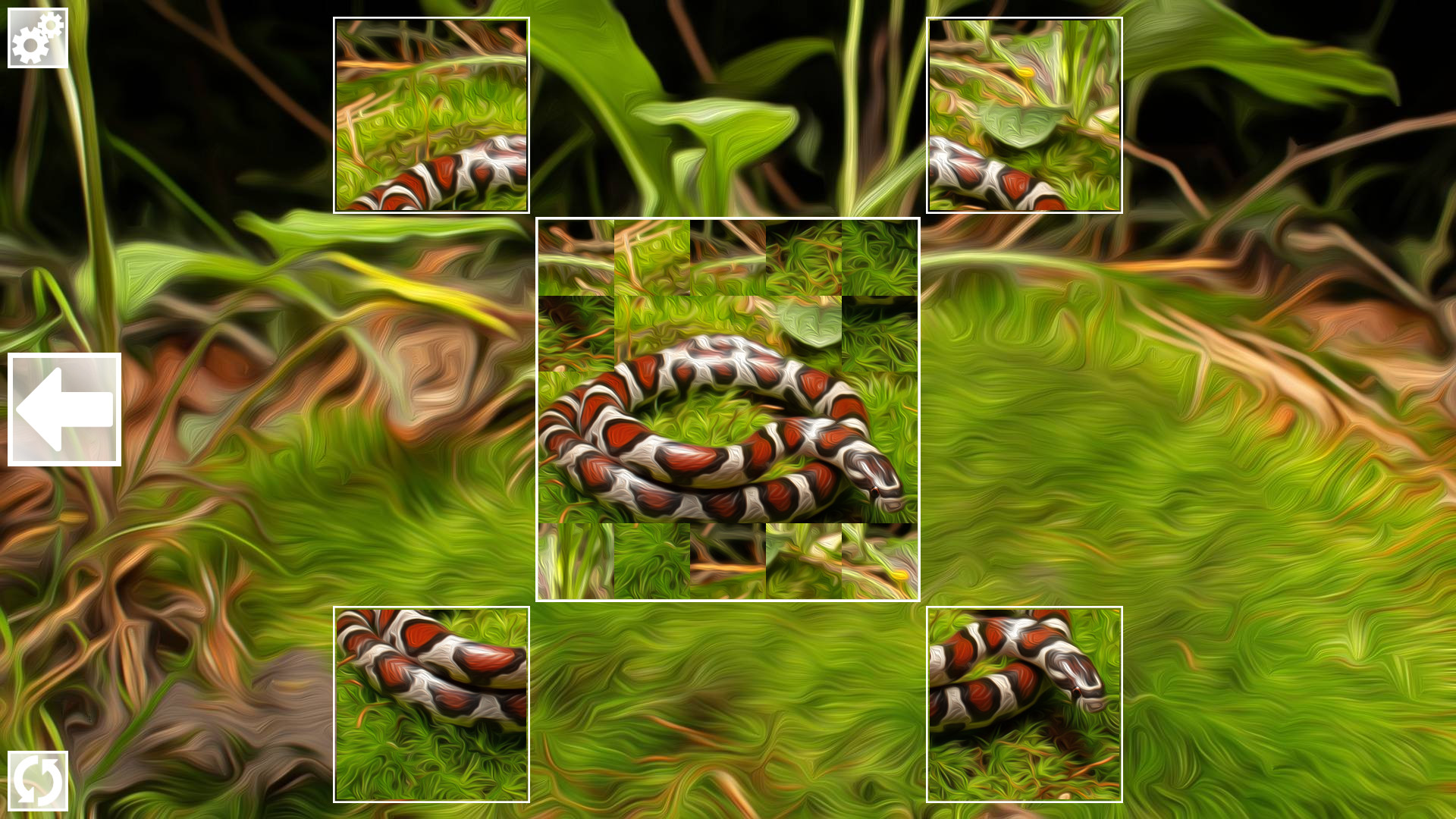 Puzzle Art: Snakes