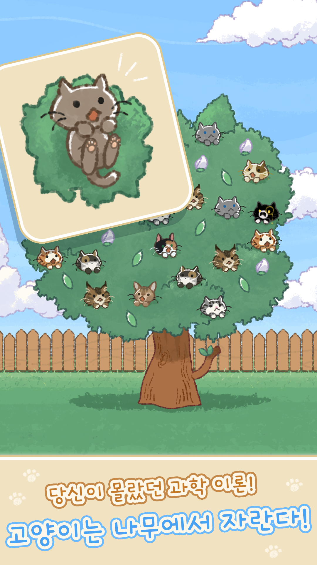 Cat Flower Tree